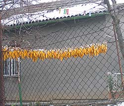 Ужгород сьогодні
